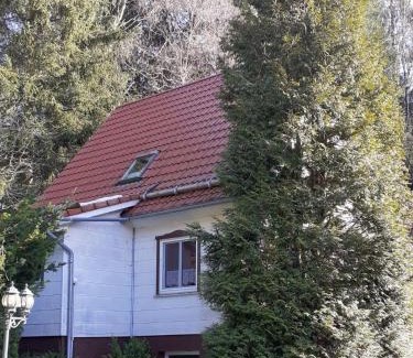 Wildemann Apartamento | Ferienwohnungen-Waldblick-Wohnung-1
