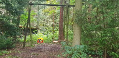 Wildemann Apartamento | Ferienwohnungen-Waldblick-Wohnung-1