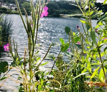 Gemunden Apartamento | Ferienwohung Auszeit am Eifelsteig