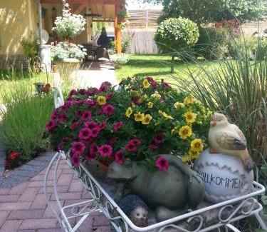 Boehlen Casa | Ferienzimmer Familie Schmidt