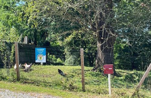 Heugas Cama Y Desayuno | Ferme du Peyronin