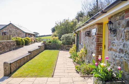 Winnard's Perch Cabaña | Ferngully