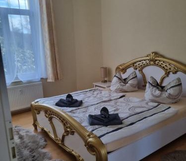 Bad Elster Apartamento | FeWo Fürst Metternich, Bad Elster