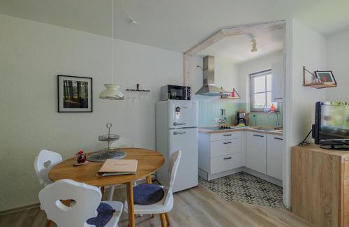 Todtnauberg Apartamento | Fewo Herzgrün - zu Fuß zu Lift & Loipe traumhafte Aussicht mit Sauna im Haus Tiefgarage E-Ladestation