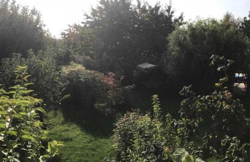 Sagard Apartamento | Fewo in sonniger Lage in Sagard