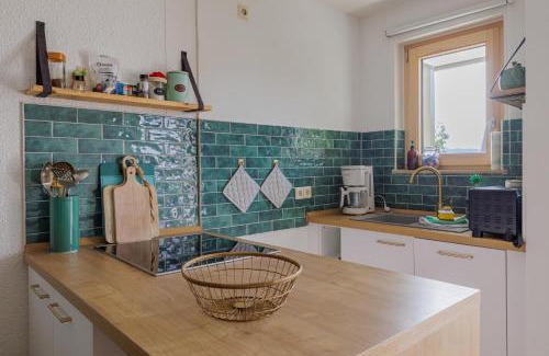 Todtnauberg Apartamento | Fewo Waldgeflüster - Nähe Skilift und Loipe Sauna im Haus Traumaussicht E-Ladestation Tiefgarage