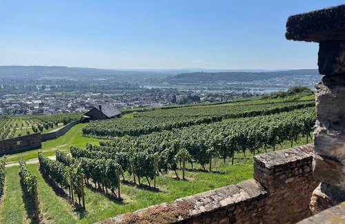 Ruedesheim am Rhein Apartamento | Fewo "waldhaus" - Appartement/fewo
