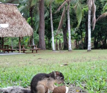 Playa Blanca Casa | Finca Agroturística La Amistad