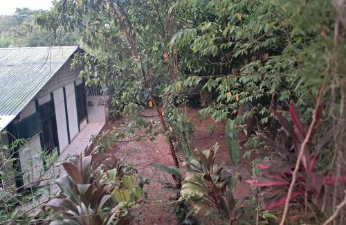 Palma Apartamento | Finca Bosques de Osa