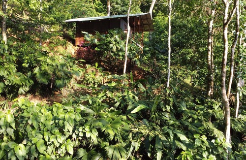 Carate Cabina | Finca la Bonita, Near Corcovado National Park.