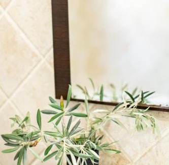 Guadamur Casa | Finca Navalpino a 900 m de Puy du Fou