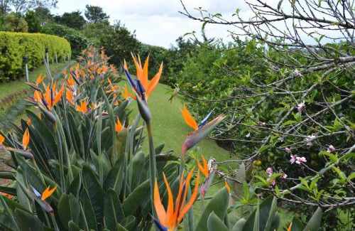 Santo Domingo Hotel | Finca Paraiso Mountain Retreat near San Jose Airport