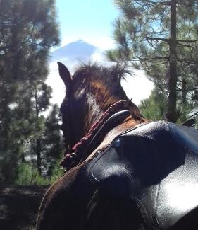 La Vera Casa | Finca Rural El Pajar santa Ursula