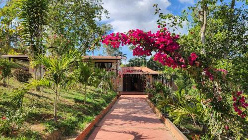 Aratoca Cama Y Desayuno | Finca Turística Marquesa Wellness - Hospedaje, Desayuno y Day Spa