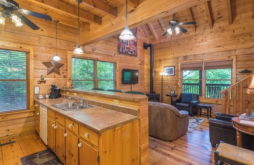 Black Mountain Cabina | Firefly Lodge | Private Log Cabin with Gas Grill & Mountain Views!