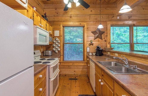 Black Mountain Cabina | Firefly Lodge | Private Log Cabin with Gas Grill & Mountain Views!