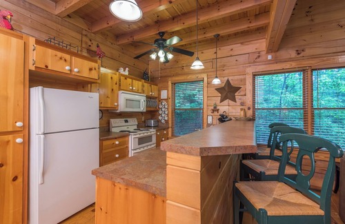 Black Mountain Cabina | Firefly Lodge | Private Log Cabin with Gas Grill & Mountain Views!