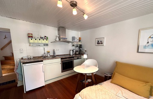 Schierstein Apartamento | Fisherman's cottage with big terrace and harbour view!