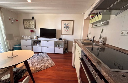 Schierstein Apartamento | Fisherman's cottage with big terrace and harbour view!