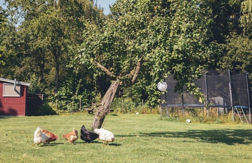 Weseby Apartamento | Förde-Ferien, Alemania
