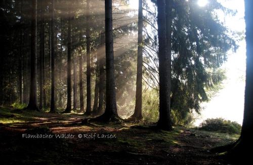 Clausthal-Zellerfeld Hotel | Flambacher Mühle