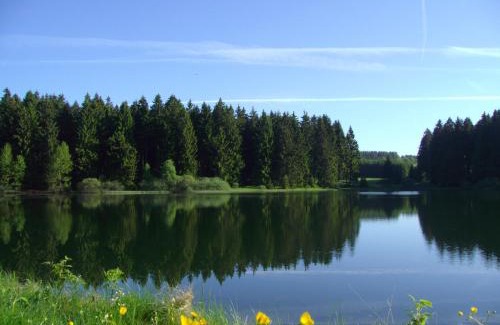 Clausthal-Zellerfeld Hotel | Flambacher Mühle
