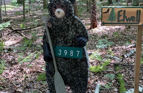 Lake Township Cabina | EaglePine, Sleeping Bear Dunes, frente al lago, aislado, playa de arena, perros!