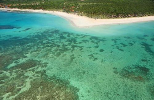 Tamandare Apartamento | Flat no Carneiros Beach Resort