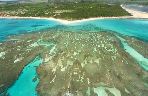 Tamandare Apartamento | Flat no Carneiros Beach Resort