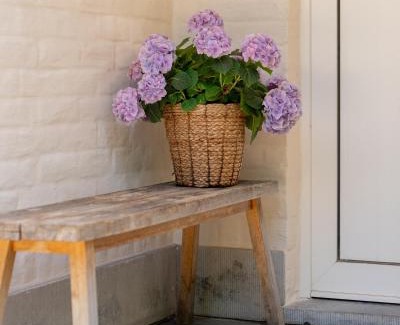 Sint-Martens-Latem Casa | Fleur de Marguerite