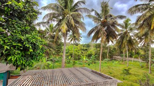 Kushalnagar Casa | Flintstone Home