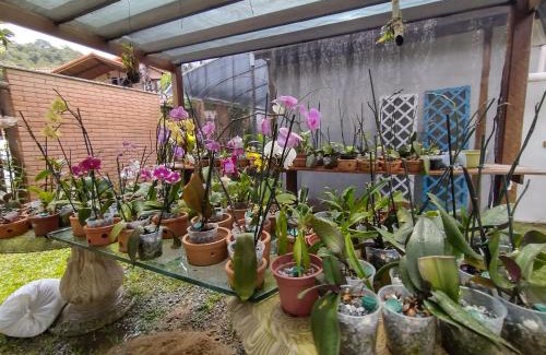 Sao Pedro da Serra Apartamento | Flor de Orquídea guesthouse