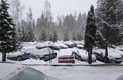 Borovets Apartamento | FLORA Apartment Hotel STUDIO 411