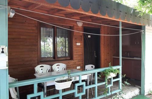 Cirali Casa | Flora Pansiyon Çıralı