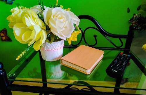 Floresti Apartamento | Floral apartament