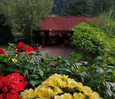 Pojorita Casa | Flori de Bucovina