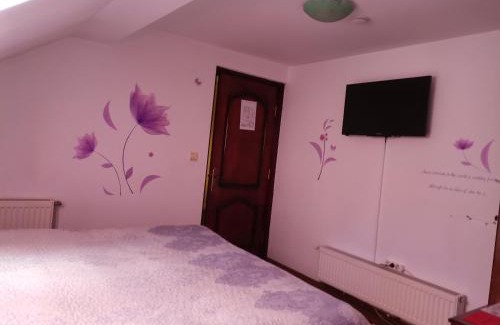 Pojorita Casa | Flori de Bucovina