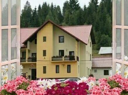 Pojorita Casa | Flori de Bucovina