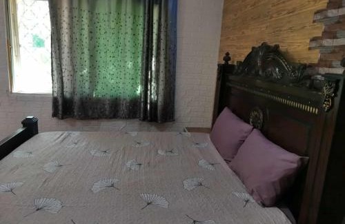 Jerash Apartamento | Flowar