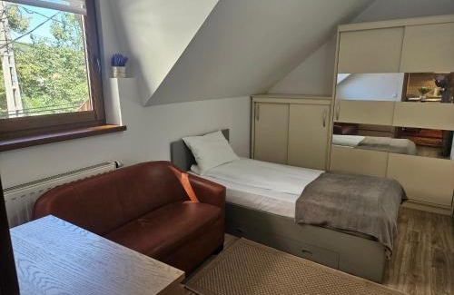 Odorheiu Secuiesc Apartamento | Flower Apartment Cintia