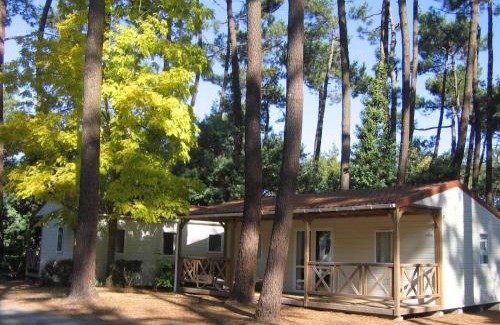Saint-Hilaire-de-Riez Otro | Flower Camping Au Bois des Biches