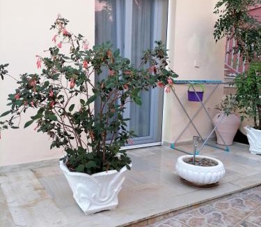 Benitses Apartamento | flower garden apartment