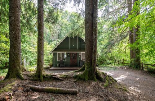 Paradise Estates Casa | Fog & Fern Hideaway at Mount Rainier