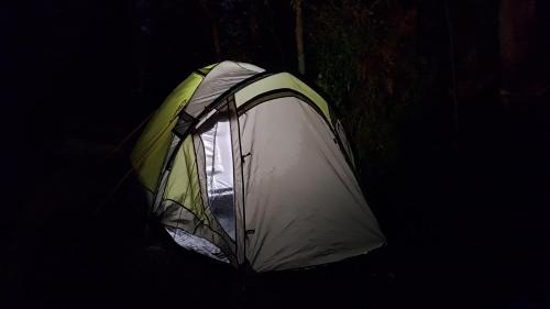 Shimla Casa | For Rest Home Shimla