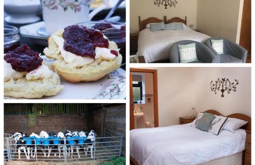 Holsworthy Cama Y Desayuno | Forda Farm Bed & Breakfast