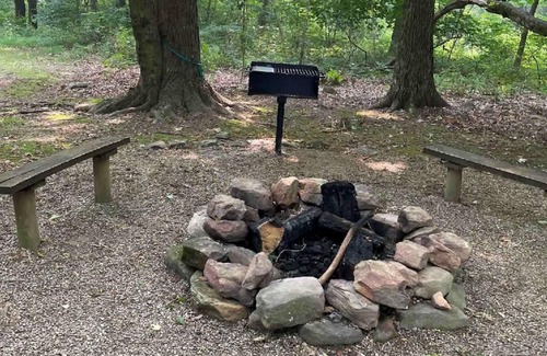 Bladensburg Cabina | Forest Cabin #1 at Camp Because I Said I Would