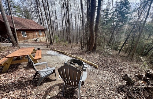 Traphill Cabina | Forest Cabin Moments from Stone Mountain