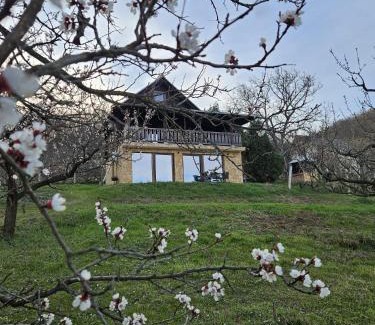 Central Serbia Casa | Forest Heaven Retreat with jakuzz