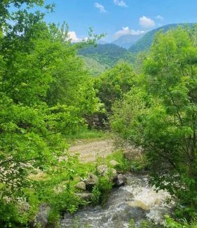 Likani Apartamento | Forest house - ტყის სახლი