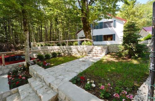 Cetinje Casa | Forest house